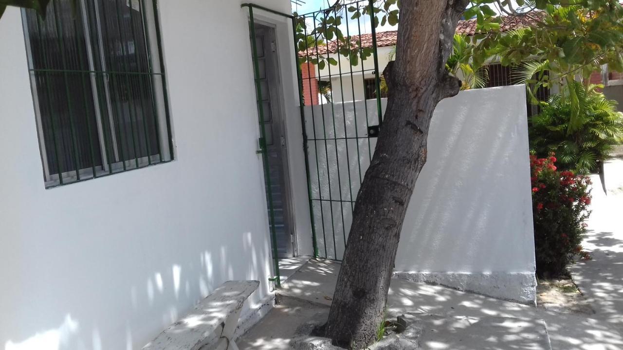 Casa Da Arvore *