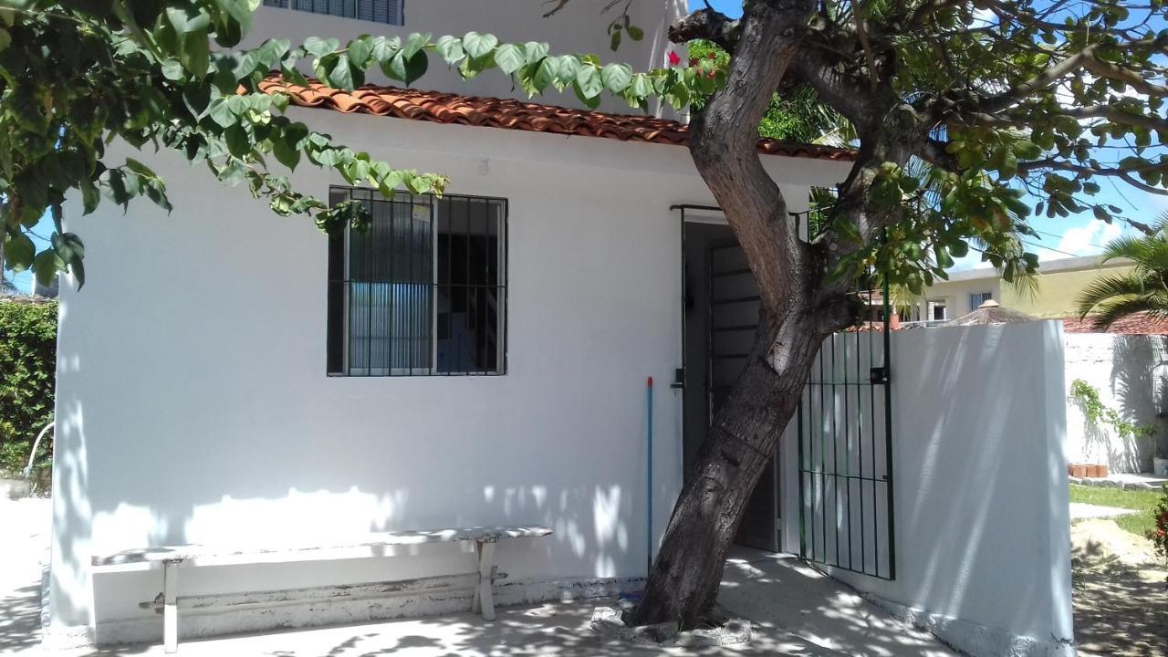 Casa Da Arvore Holiday home Porto de Galinhas